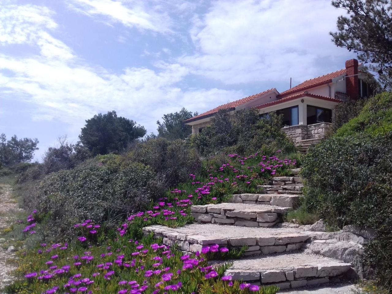 Case de vacanță Seafront House Solta